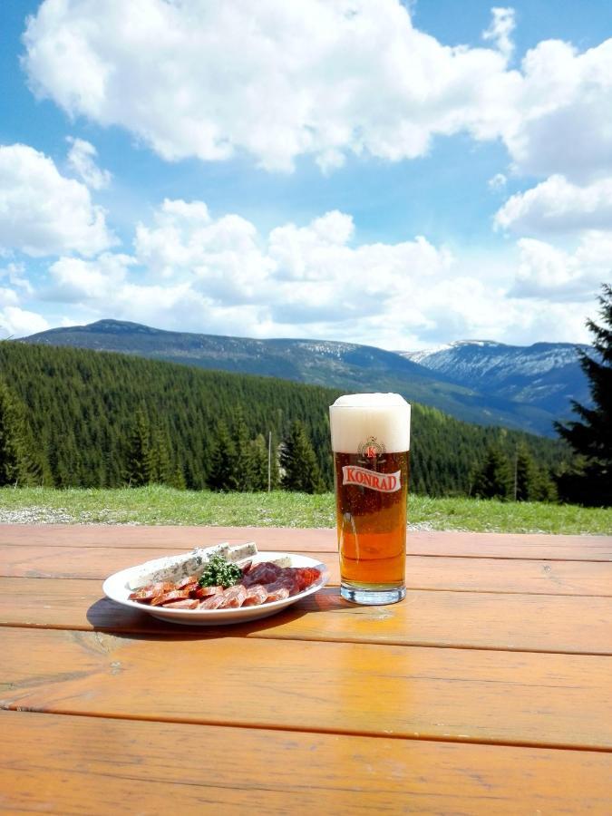 Hotel Horská chata Sedmidolí Špindlerŭv Mlýn Esterno foto