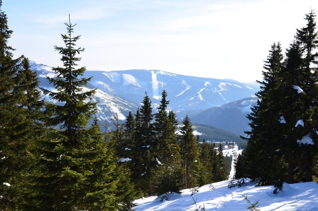 Hotel Horská chata Sedmidolí Špindlerŭv Mlýn Esterno foto